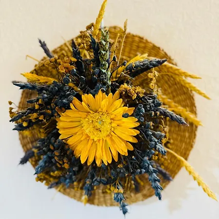 Familia Antol 2* Liptowski Mikułasz